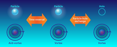 action of symmetries on the fermionic particle