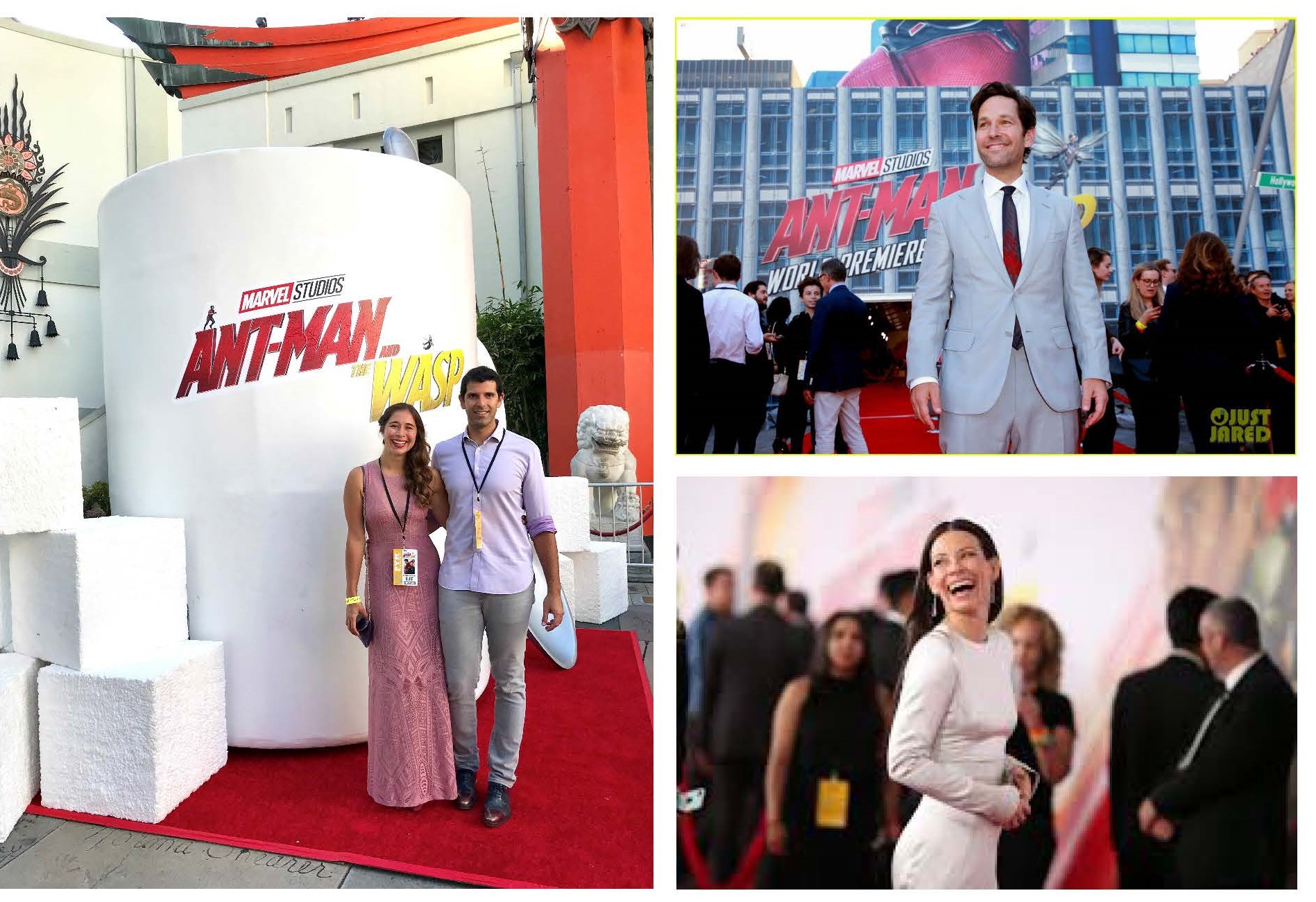 images from AntMan Red Carpet