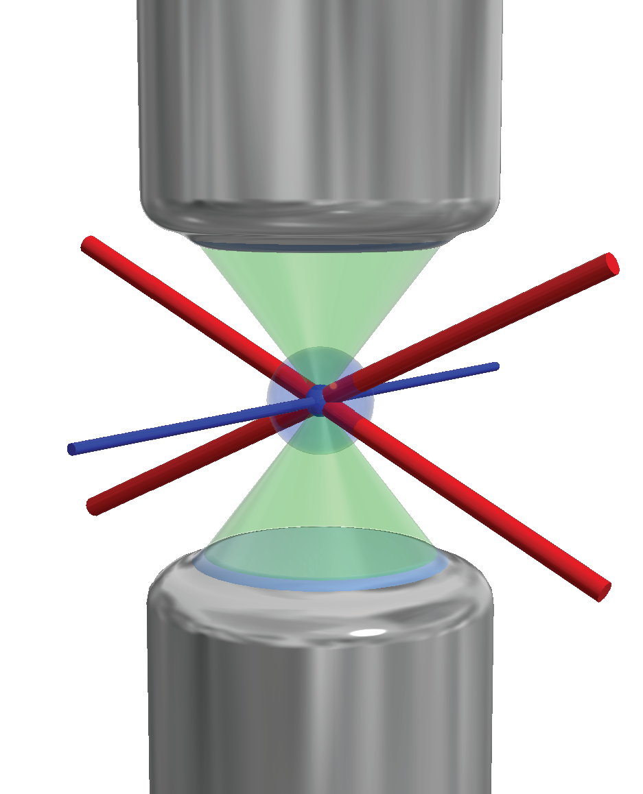 A single strontium atom is trapped in an optical tweezer