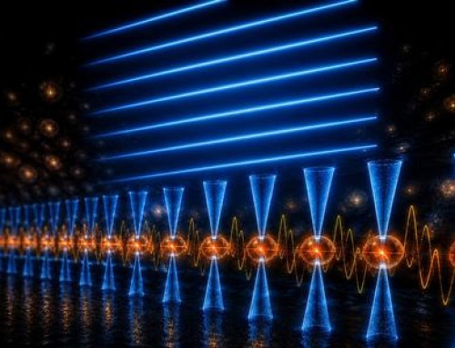 Universal Pattern Revealed in Quantum Matter